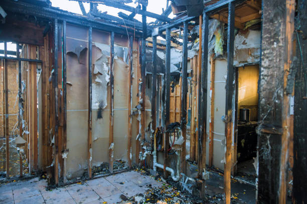 Professional Fire Damage Removal technician working in Cattaraugus, NY